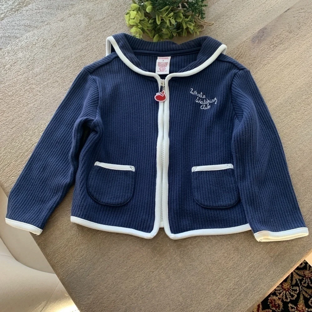 Gymboree Whale Watching Club Sweater Size 3